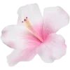 Video sticker 🤩 colors ➜ @emoji1