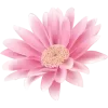 Video sticker 🤩 colors ➜ @emoji1