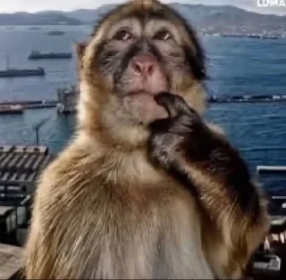 Telegram sticker 💔 Больше стиков тут: @stikery4