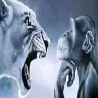 Telegram sticker 💔 Больше стиков тут: @stikery4