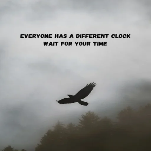 Телеграм стикер 🦅 @opium