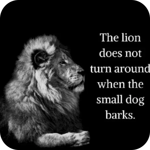 Телеграм стикер 🦁 @opium