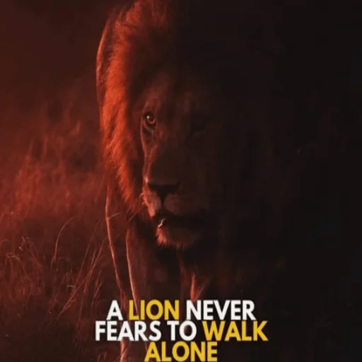 Телеграм стикер 🦁 @opium