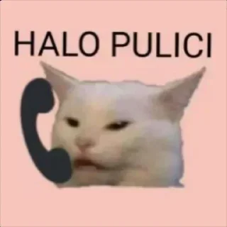 Telegram sticker 🐾 @ryukshinigamiub's kang pack vol.1