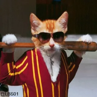 Telegram sticker 😎 @ryukshinigamiub's kang pack vol.1