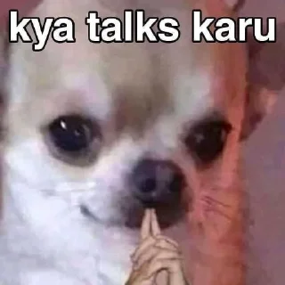 Telegram sticker 🤔 VIP PACK