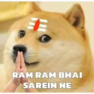 Video sticker 🙏 VIP PACK