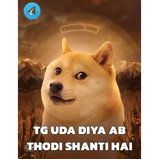 Video sticker 🤣 VIP PACK