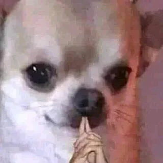 Telegram sticker 👀 Moy pack