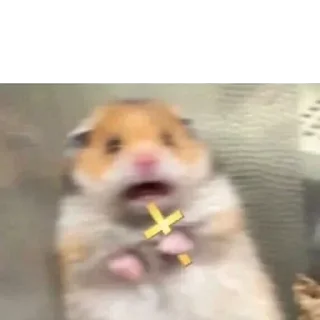 Telegram sticker 😱 Moy pack