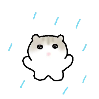 Video sticker 👍 @KakaoEmoji 작아도 억까 고양이