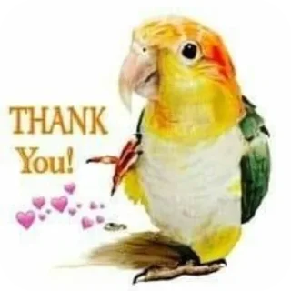 Telegram sticker 🥰 Говно Іюля