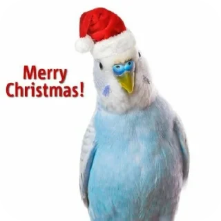 Telegram sticker 🎄 Говно Іюля