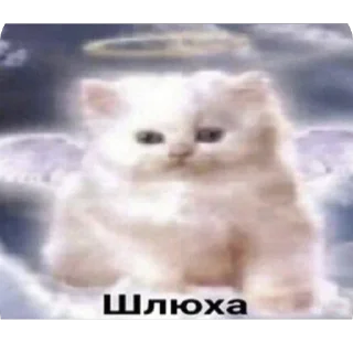 Telegram sticker 🫥 мне надо :: @fStikBot