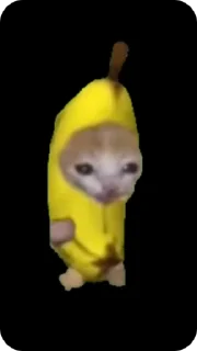 Sticker 🌟 Banana Cat :: @fStikBot