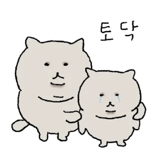 Video sticker 👍 @KakaoEmoji 깊고 두둑한 고양이