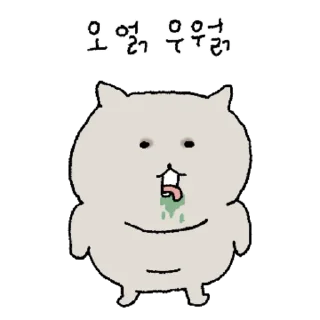 Video sticker 👍 @KakaoEmoji 깊고 두둑한 고양이