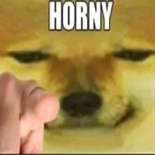 Telegram sticker 🔞 мемы