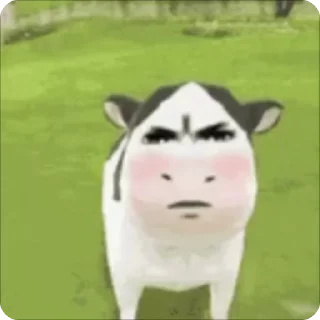 Video sticker 🌟 Test