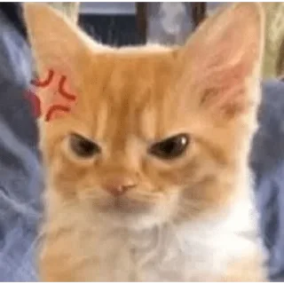 Telegram sticker 😡 بسبس