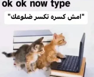 Telegram sticker 🎊 بسبس