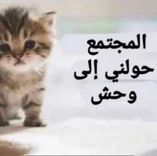 Video sticker 🍥 بسبس
