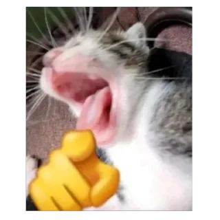 Sticker 🫥 بسبس