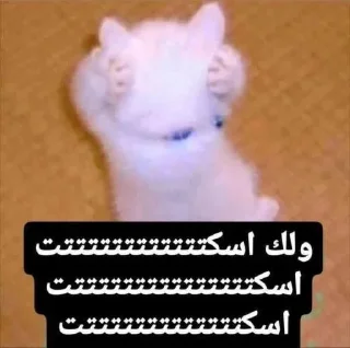 Telegram sticker 🌆 بسبس