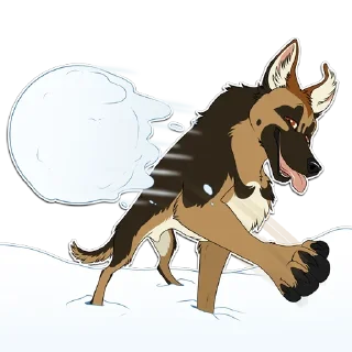 Video sticker ❄️ NorthShep!