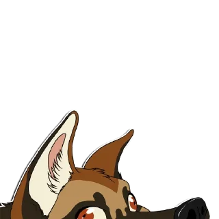 Telegram sticker 🛎 NorthShep!