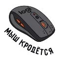 Video sticker 🐀 Я ❤ Ситилинк