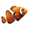 Video sticker 🐠 ᯓ💦ғʀᴜᴛ�...