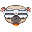 Telegram sticker 😎 Zac The Pug