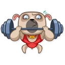 Telegram sticker 💪 Zac The Pug