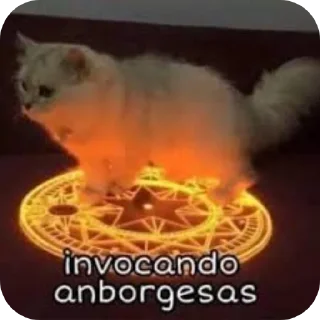 Telegram sticker 🐱 Stikers de Joel :: @fStikBot