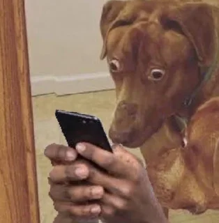 Telegram sticker 😳 ..