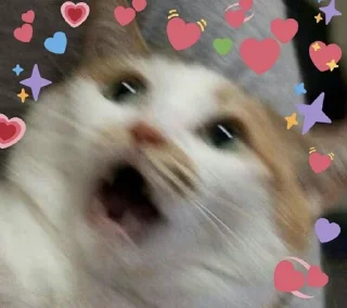 Telegram sticker 😻 ..