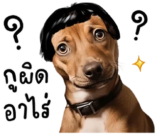 Video sticker 🐶 @JKSSTIK30