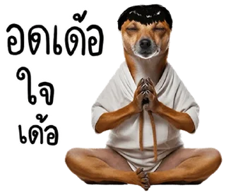 Video sticker 🐶 @JKSSTIK30