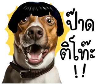 Video sticker 🐶 @JKSSTIK30