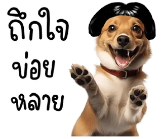 Telegram sticker 🐶 @JKSSTIK30