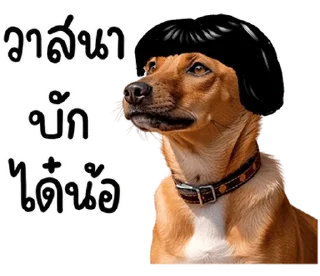 Sticker 🐶 @JKSSTIK30