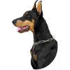 Video sticker 🐶 ♡ ариночк...