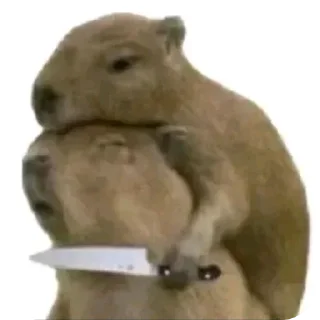 Video sticker 🗿 Meme