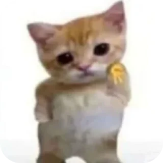 Telegram sticker 🐱 Meme