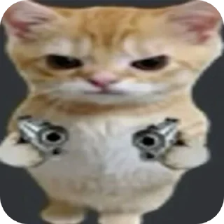 Video sticker 🐱 Meme