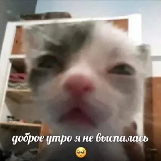 Telegram sticker 🌟 Больше стиков тут: @stikery4