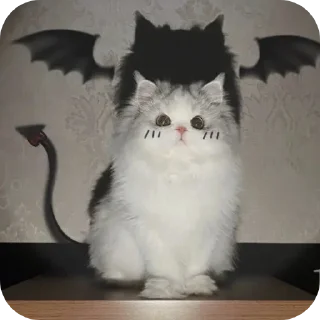 Telegram sticker 🐱 Котики🐈 @Basha_new:: @fStikBot