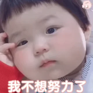 Телеграм стикер 😊 乘风的GIF6