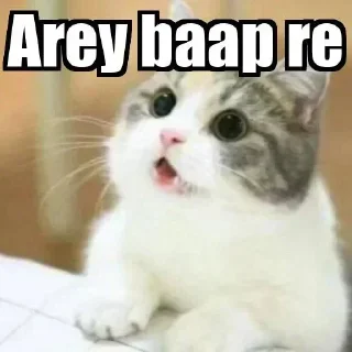 Telegram sticker 😱 Bittuz pack